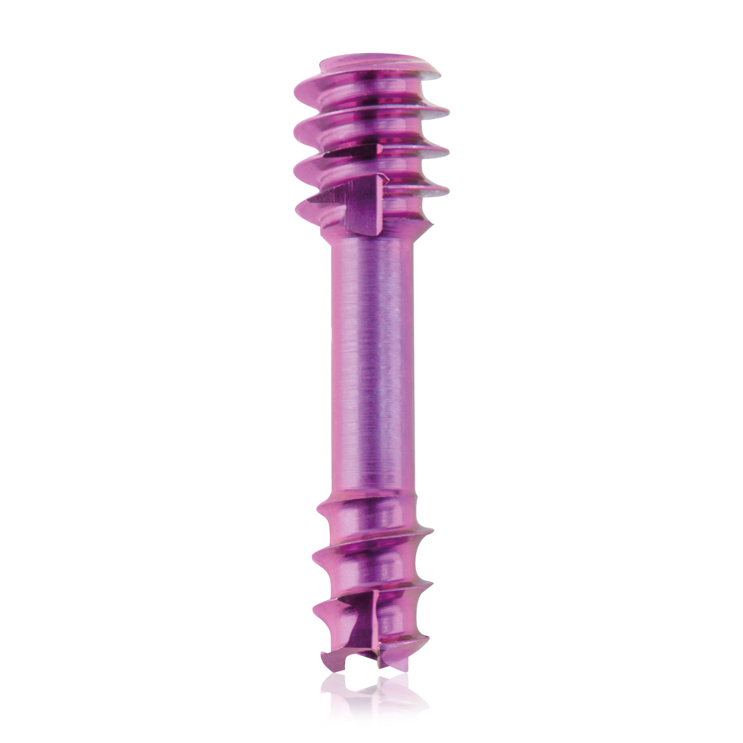 L = 12mm